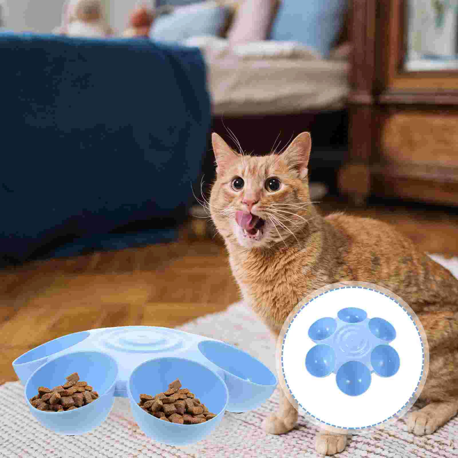 

Bunny Water Bowl Cat Bowl Cat Food Water Bowls Dish Cat Feeder 6- Meal Kitten Food Bowl Pet Bowl Litter Food Feeding Weaning