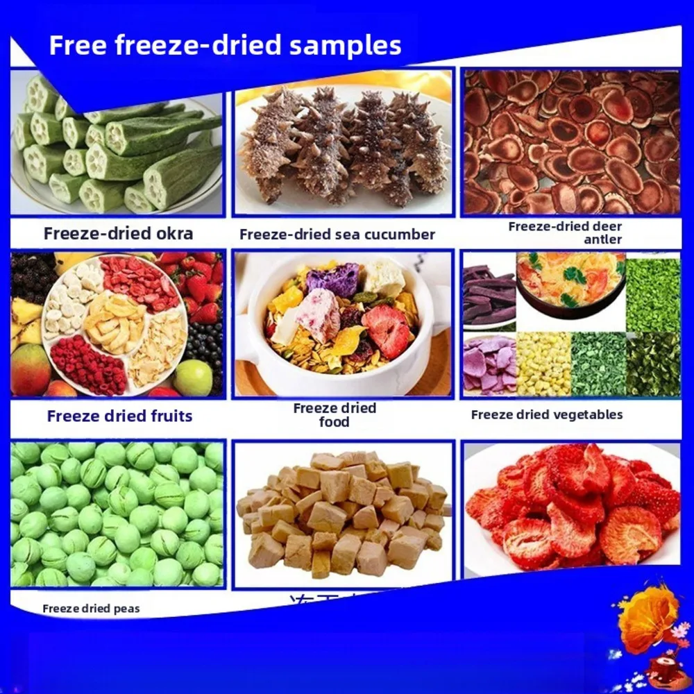 مكنسة كهربائية لمصنع الأغذية، مجفف درجة حرارة منخفضة على شكل قرن الوعل والغزلان، مجفف تجميد مستخلص عشبي صيني تجاري