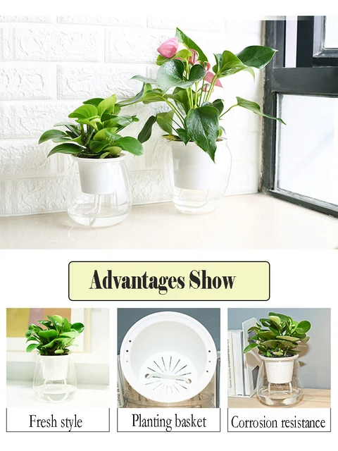 Vaso Sferico Bianco Per Orchidea | Fiori E Piante | Ikebana Alghero Di Stefania Cerri - Foto 6