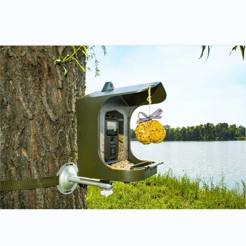 Infrared Night Vision Bird Small Animal Watching Camera Trail Camera BC-303 Birds Feeding 24MP 1080P 30 hunting trail camera trail camera