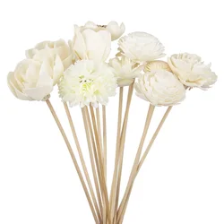 Elegant Artificial Flower Reed Diffuser Sticks - Set of 11 for Home Décor & DIY Ornaments (11pcsTT2310532)
