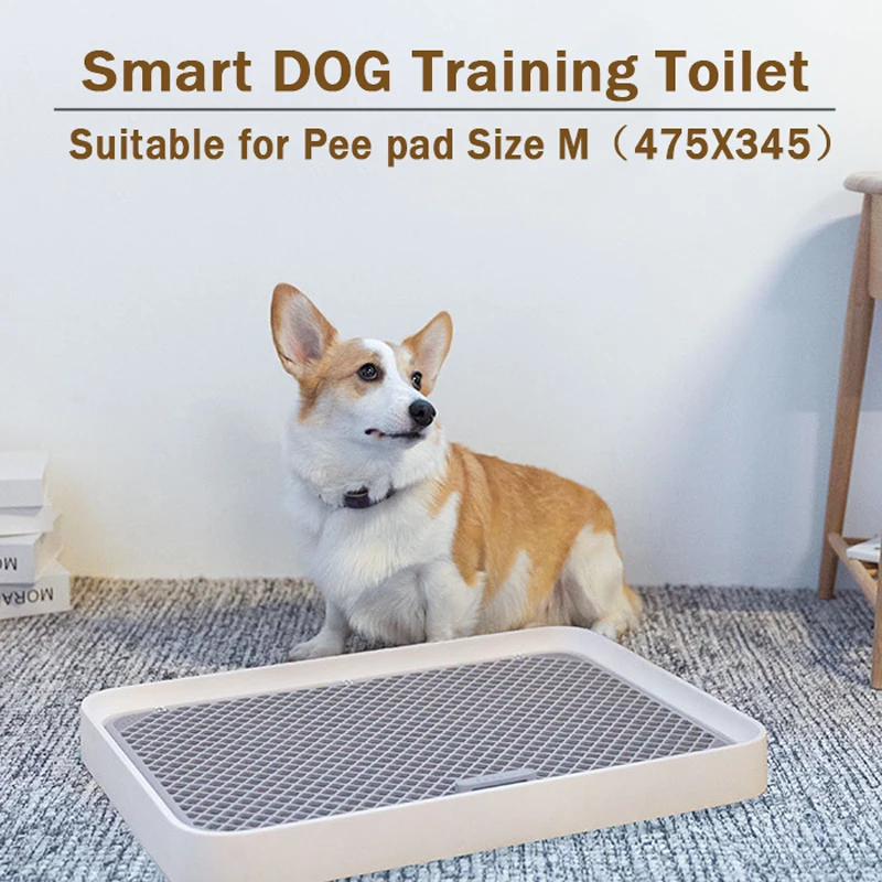 Train Older Dog Use Pee Pads  Puppy Toilet Tray Pee Training - Puppy Pee  Pad Holder - Aliexpress