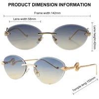 Classique Sans Monture Ovale Punk lunettes de Soleil Femmes 2026 De Luxe Designer Métal Serpent Photochromique Lunettes de Soleil pour Dames Sans Cadre Nuances 6