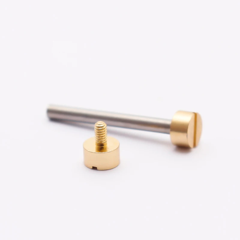 Elegant Rose Gold and Silver Watch Screw Kit for Leather Bands - Includes Lug Stems, Tubes, and Spring Bars (Various Sizes)