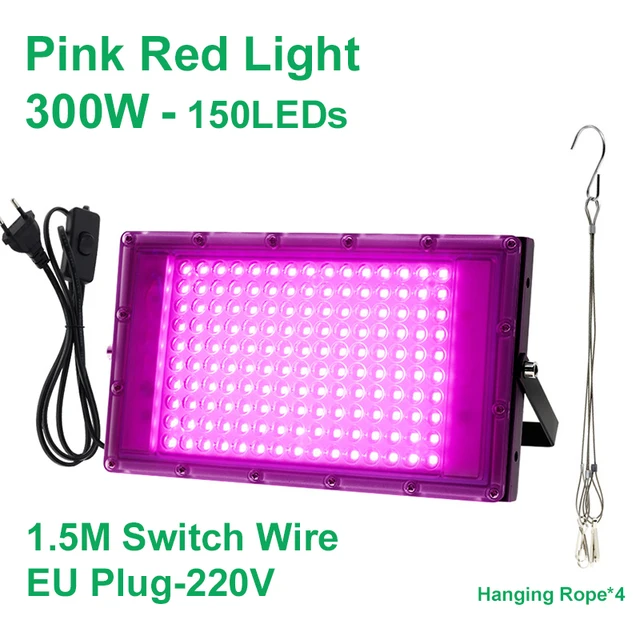 Pink2 300W EU Plug