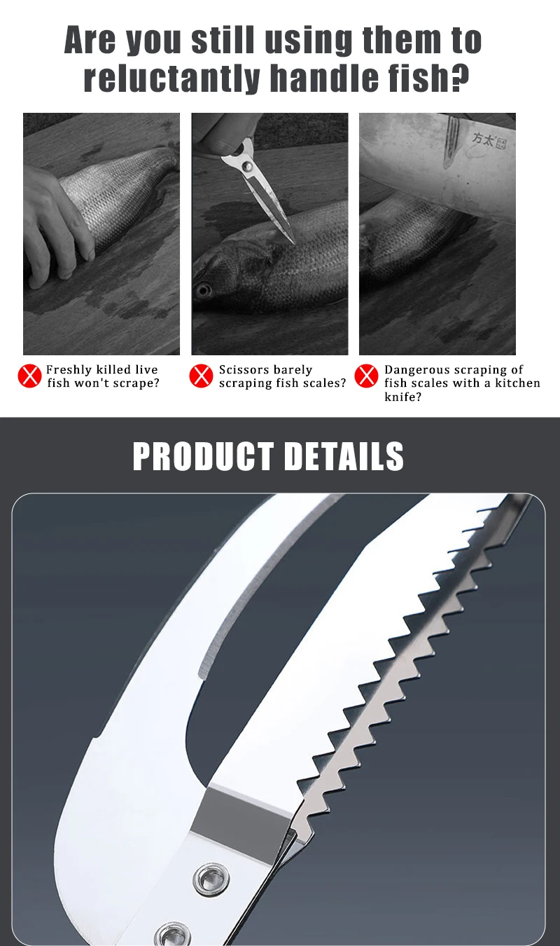 Scale Fish Scraper - Angle 5