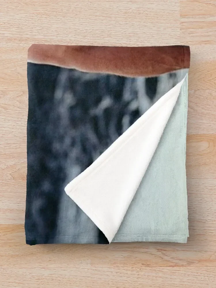 ũ���� �𽺿��� ������ ���, ���� ħ��, ��Ʈ ħ��, ���� ���� ���