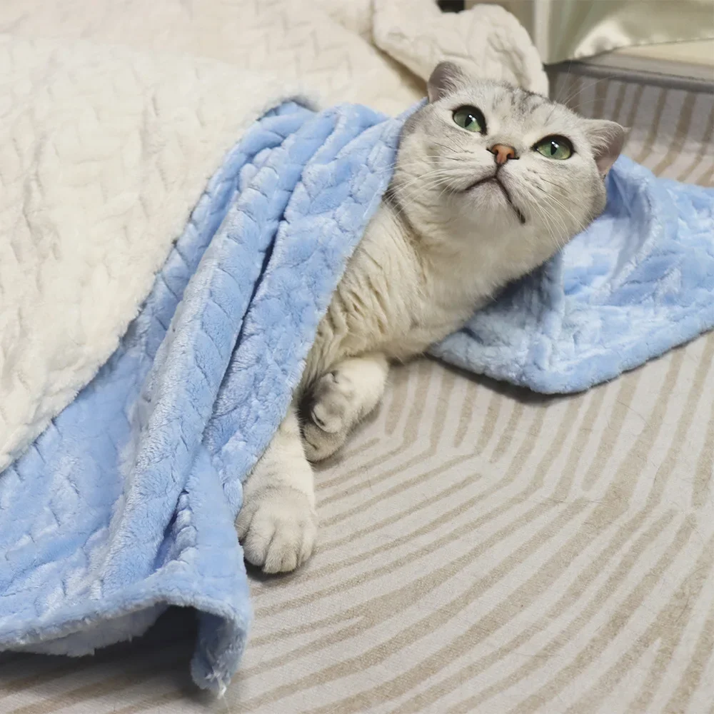 �ε巯�� �ݷ����� ���� ������ ���� ���, �ܻ� ��Ź ���� ������ �е�, �޴�� ������ ħ�� ���, ���� �� ������ �׼�����