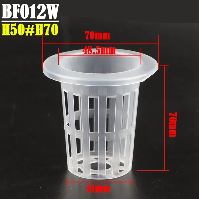 BF012W
