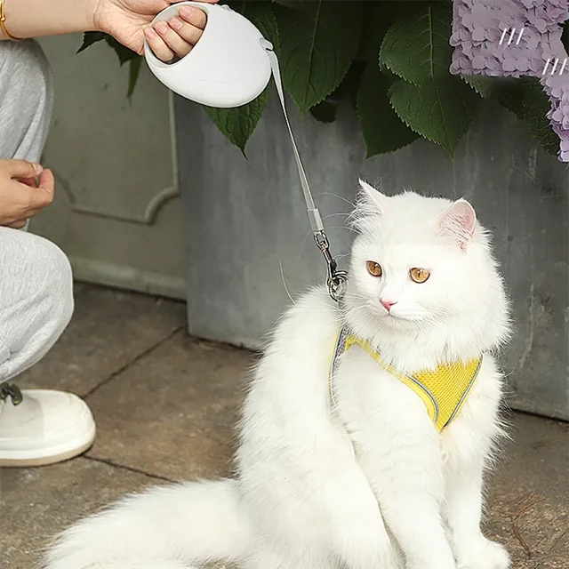 3M/5M Durable Dog Leash Retractable Roulette Collar for Small Big Dog Accessories Adjustable Durable Walking Dog Leash Rope 2
