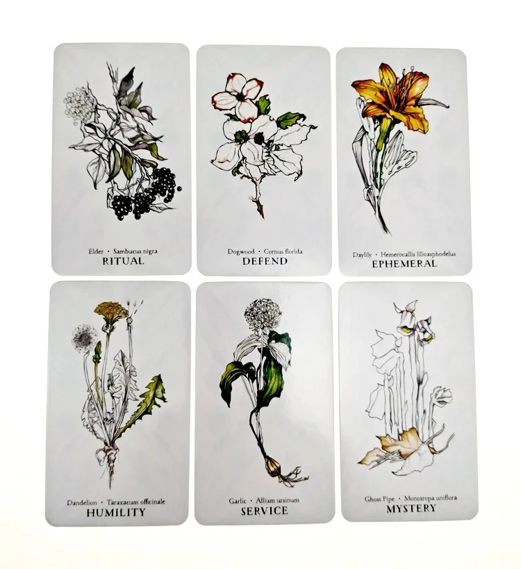 Fast Ship HOT Hedge Witch Botanical Oracle Cards 40 Pcs Wisdom From The Boundary Lands Tarot Deck Games With PDF Guidebook 4