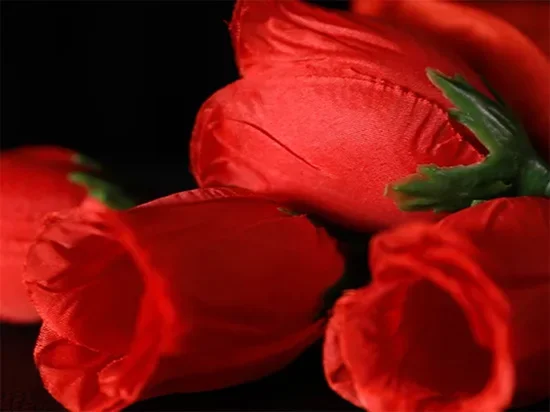 Rose 2.0 Magic Prop Image 3