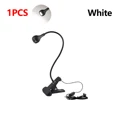 1xBlack Shell White
