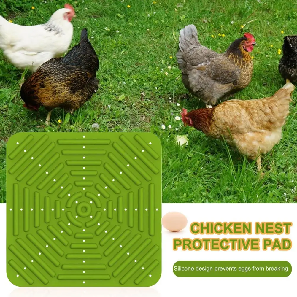 Hens Soft Pad Reusable Washable Silicone Chicken Nesting Pads for Coops  Soft Bedding Liners for Laying Eggs Durable 12 X 12 Inch - AliExpress