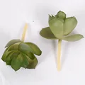 1Pcs-05
