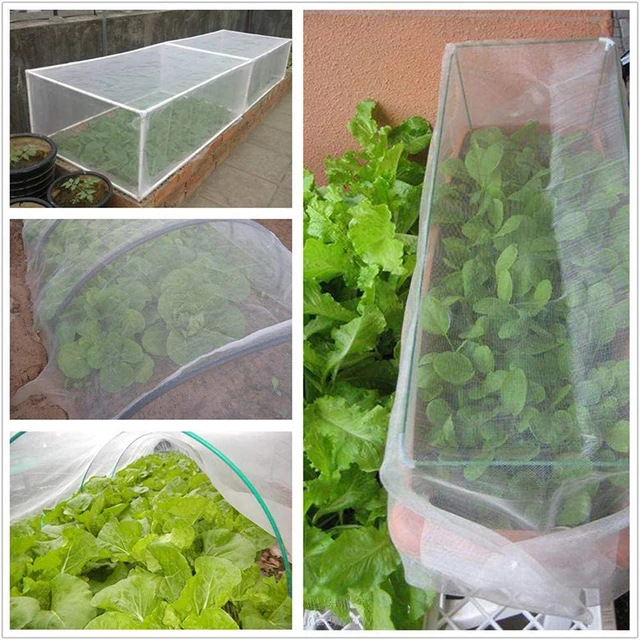 Garden Vegetable Insect Protection Net Plant Flower Fruit Care Cover Network Greenhouse Pest Control Anti-bird Mesh Net 4