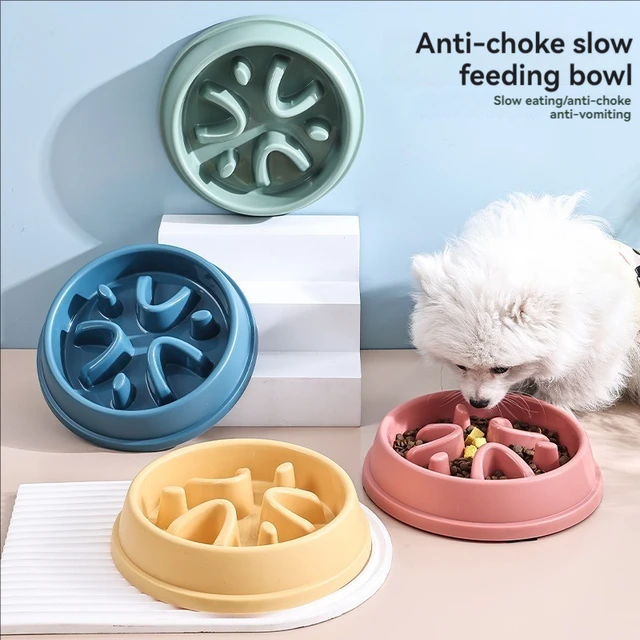 Pet Supplies Dogs and Cats Slow Food Bowl Puzzle Non-Choking Non-Slip Slow Feeder Thickened Plastic Plate Bowl Pet Feeding Bowl 2