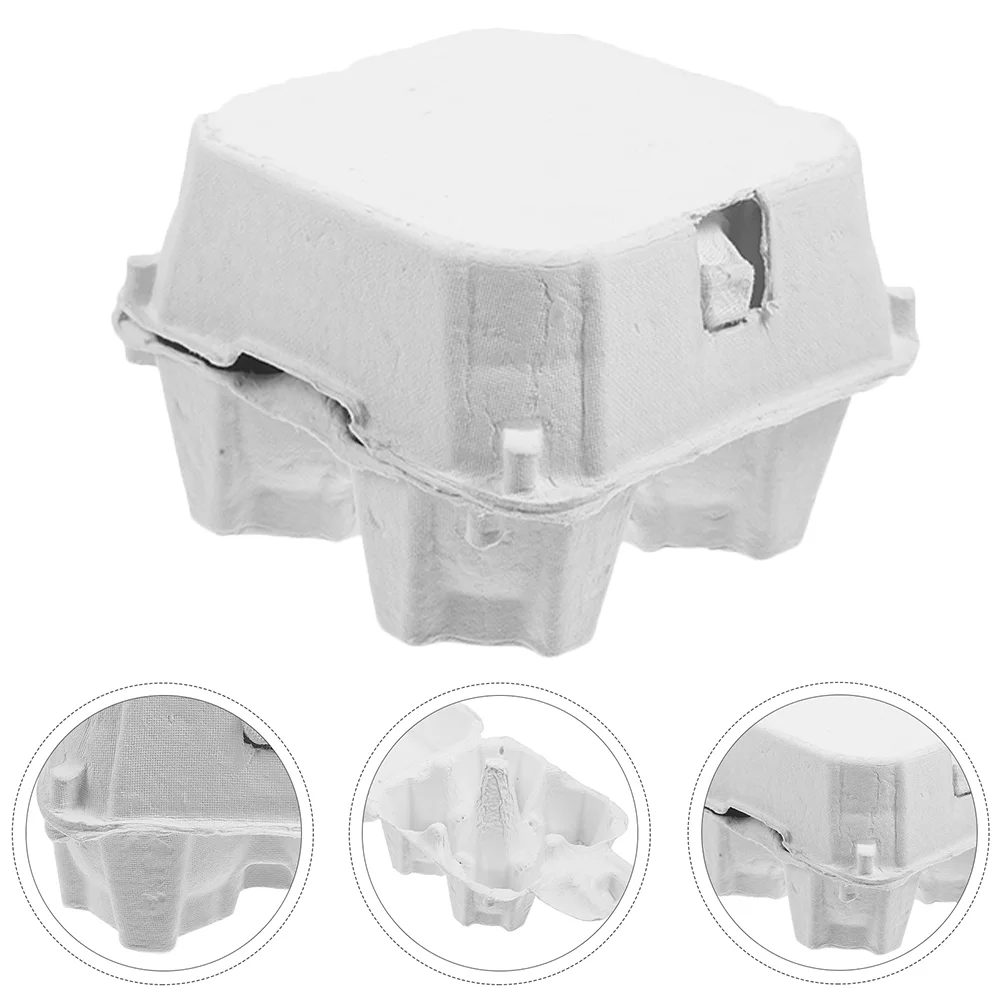 

6 Pcs Egg Tray Carton Storage Native Eggs Chicken Cartons Reusable White Organizer For Paper