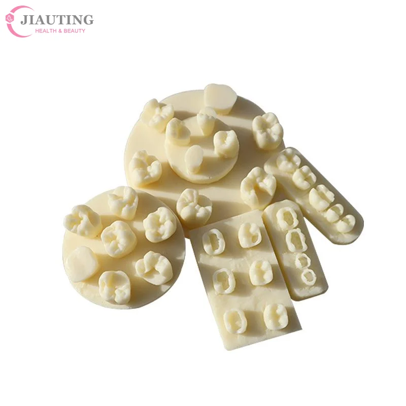 1PCS 레진 치아 형태학 연습 모델 치근관 충전 인레이 레진 모듈 치과 교육 훈련용 레진 모델 도구