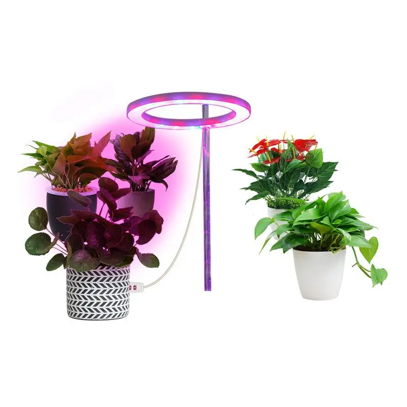 

Ring LED Plant Grow Light Plant Growth Lamp Indoor Potted Plants Led Growing Lamp Succulent Desktop Hydroponics Led Growing