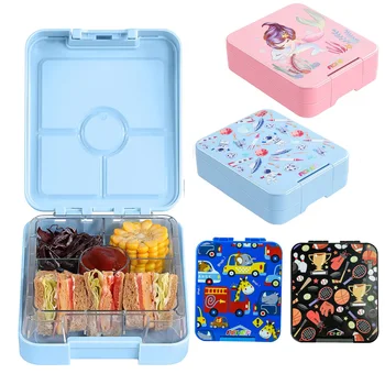 Quadrant Square Lunch Box for Teens & Office Workers School Cafeteria Camping Picnics Beach Family Kitchen Microwave Fridge Safe