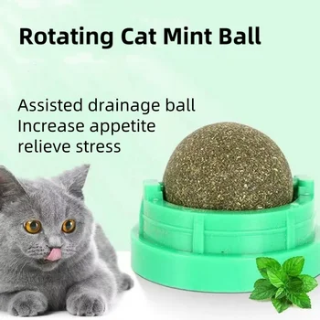 Rotating Wall Mounted Catnip Ball 1