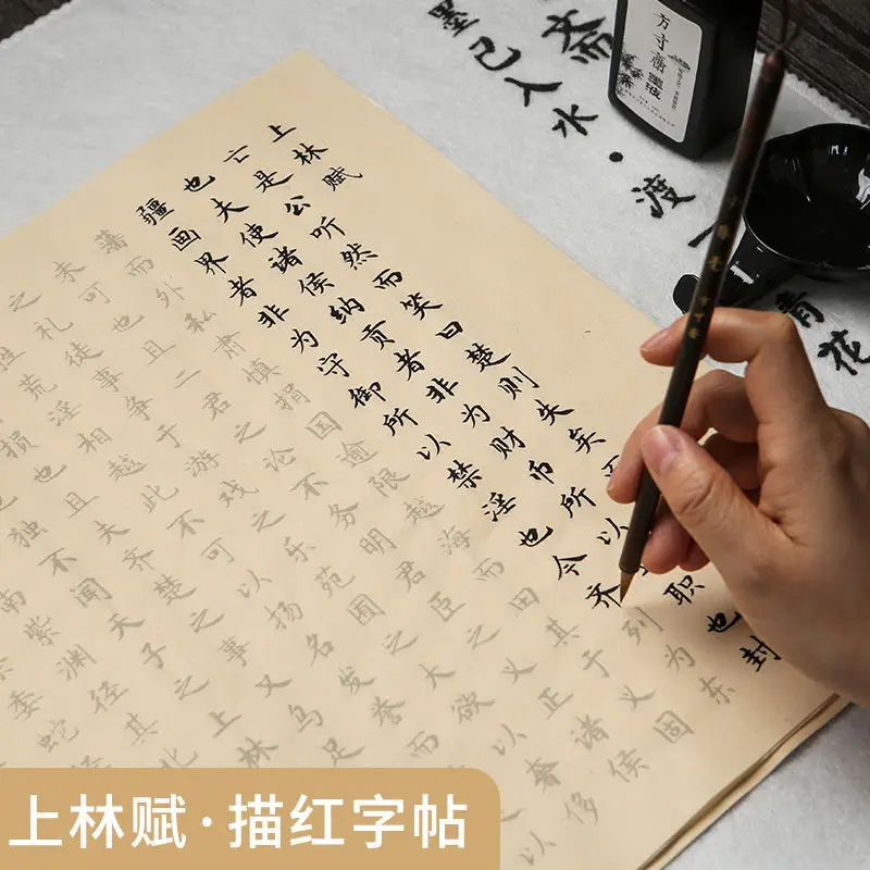 

Sima Xiangru Full Length Ou Kai Small Script Calligraphy Copybook Red Copy Beginner Set Livres Kitaplar