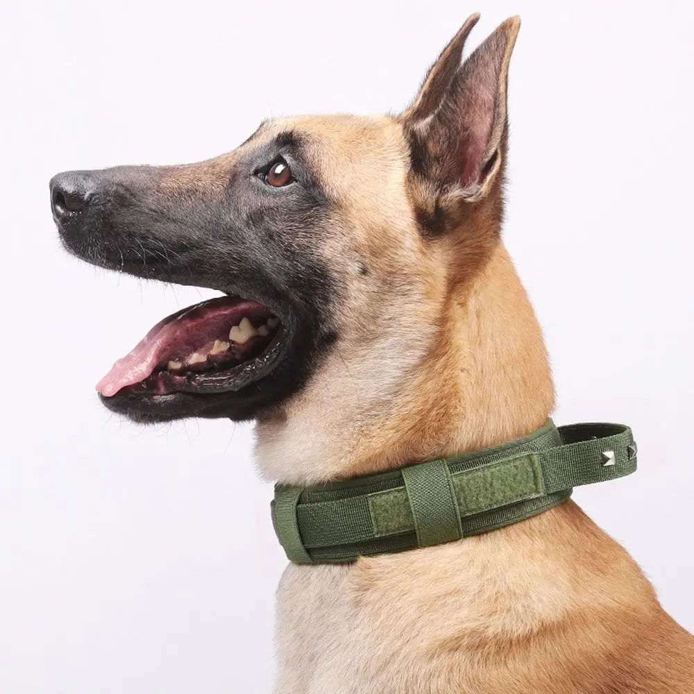 Durable & Breathable Adjustable Metal Buckle Dog Training Collar