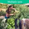 TAIMIMEI Garden Hollow Hoe Sharp Durable Garden Weeding Tools for Backyard Loosening Farm Planting Weeding 6