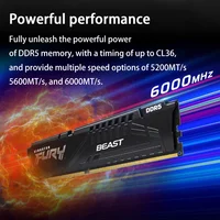 Beast DDR5 XMP 8 16 32 ГБ 4800 5200 5600 6000 МГц Настольная материнская плата AMD Intel CPU Оперативная память для ПК 288PIN с затемнением Металлический жилет дизайн — изображение 3