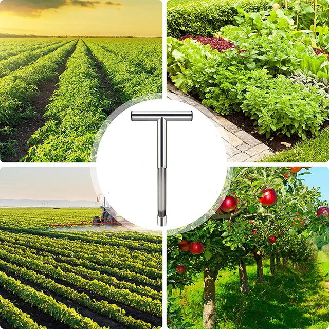 Talajmintavevő Szonda 12/21 Hüvelykes Rozsdamentes Acél T-Stílusú Fogantyú Talajvizsgálati Készletek Mintavételi Szerszámok Az Udvar Kertjéhez Könnyen Hordozhatók - Image 6