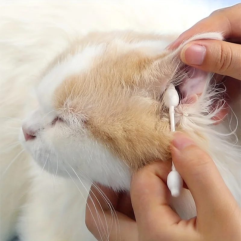 55pcsDoubleHeadDisposablePetCottonSwabsGourdShapedCatEarCare