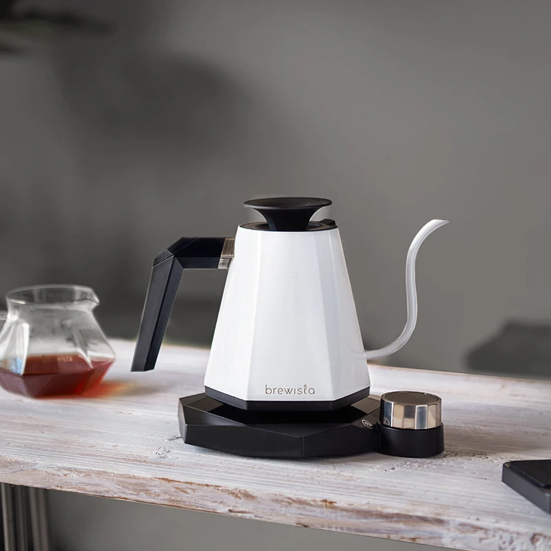 Adjustable Temperature Gooseneck Kettle