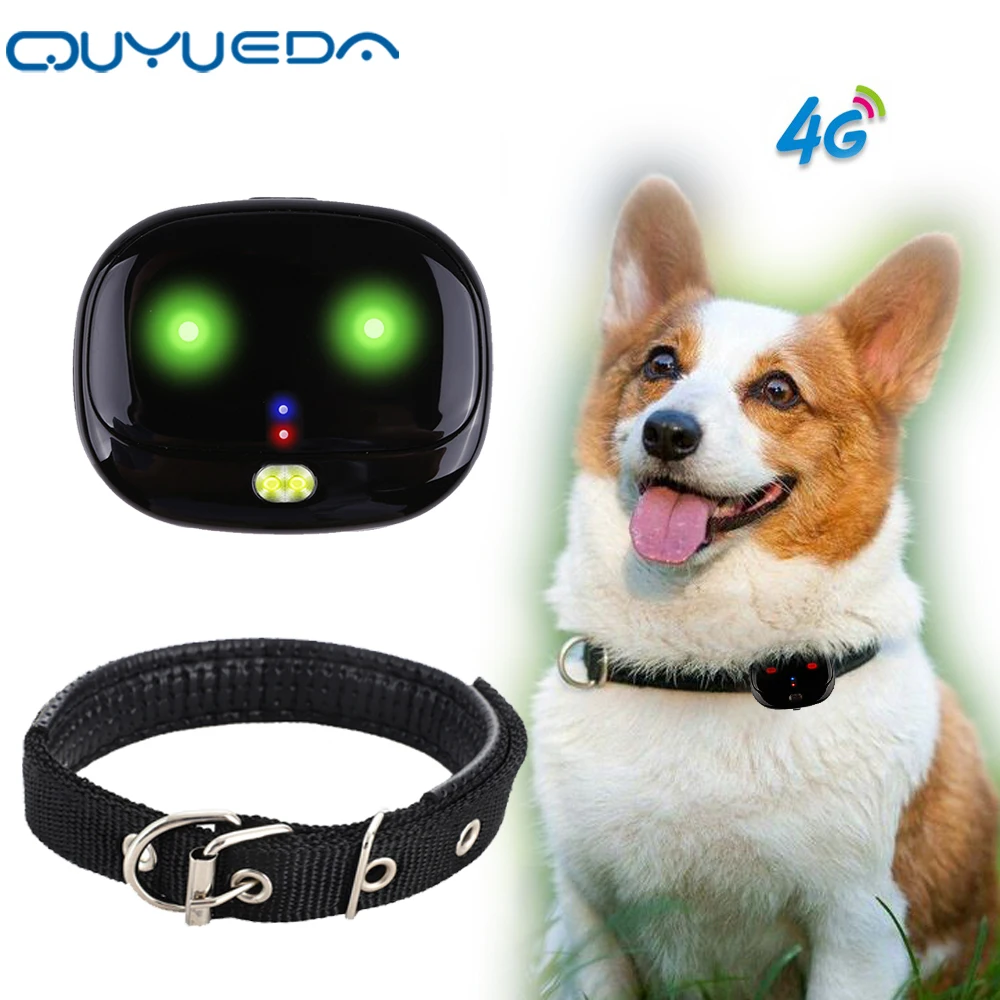 Mini 4G Pet GPS Tracker gps tracker Waterproof Dog GPS Collar With Dazzle Lights Animal Locator Support Geo-Fence Low Battery Alarm WIFI