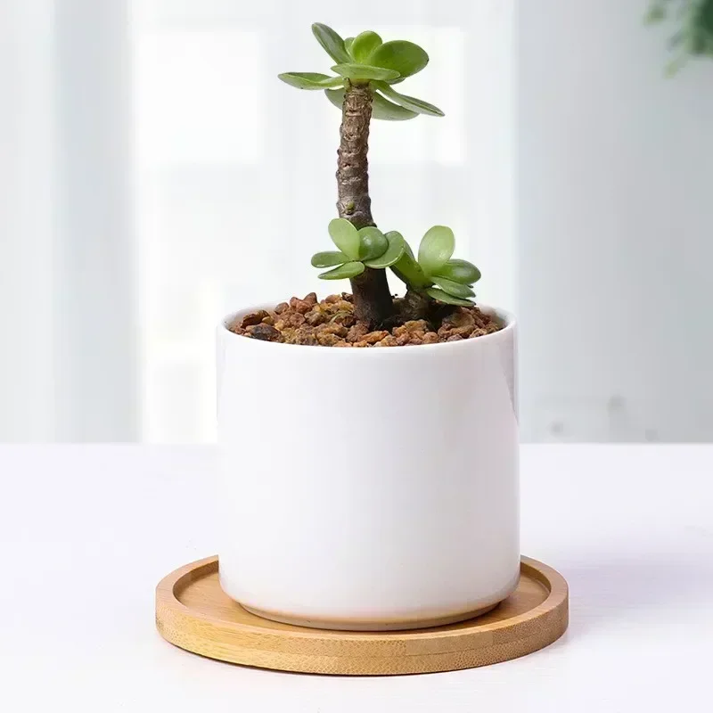 Multi Bamboo Tray Wood Saucer Flower Pot Tray Cup Pad Coaster Plate Kitchen Decorative Plate Creative Coaster Coffee Cup Mat 5