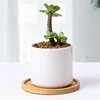 Multi Bamboo Tray Wood Saucer Flower Pot Tray Cup Pad Coaster Plate Kitchen Decorative Plate Creative Coaster Coffee Cup Mat 5