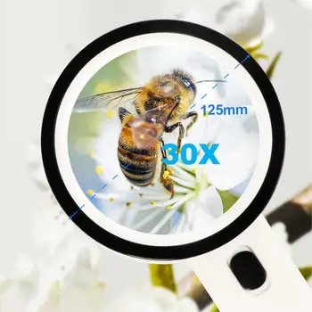 돋보기 알뜰 쇼핑 순위 TOP 9 10 10 8-product-image