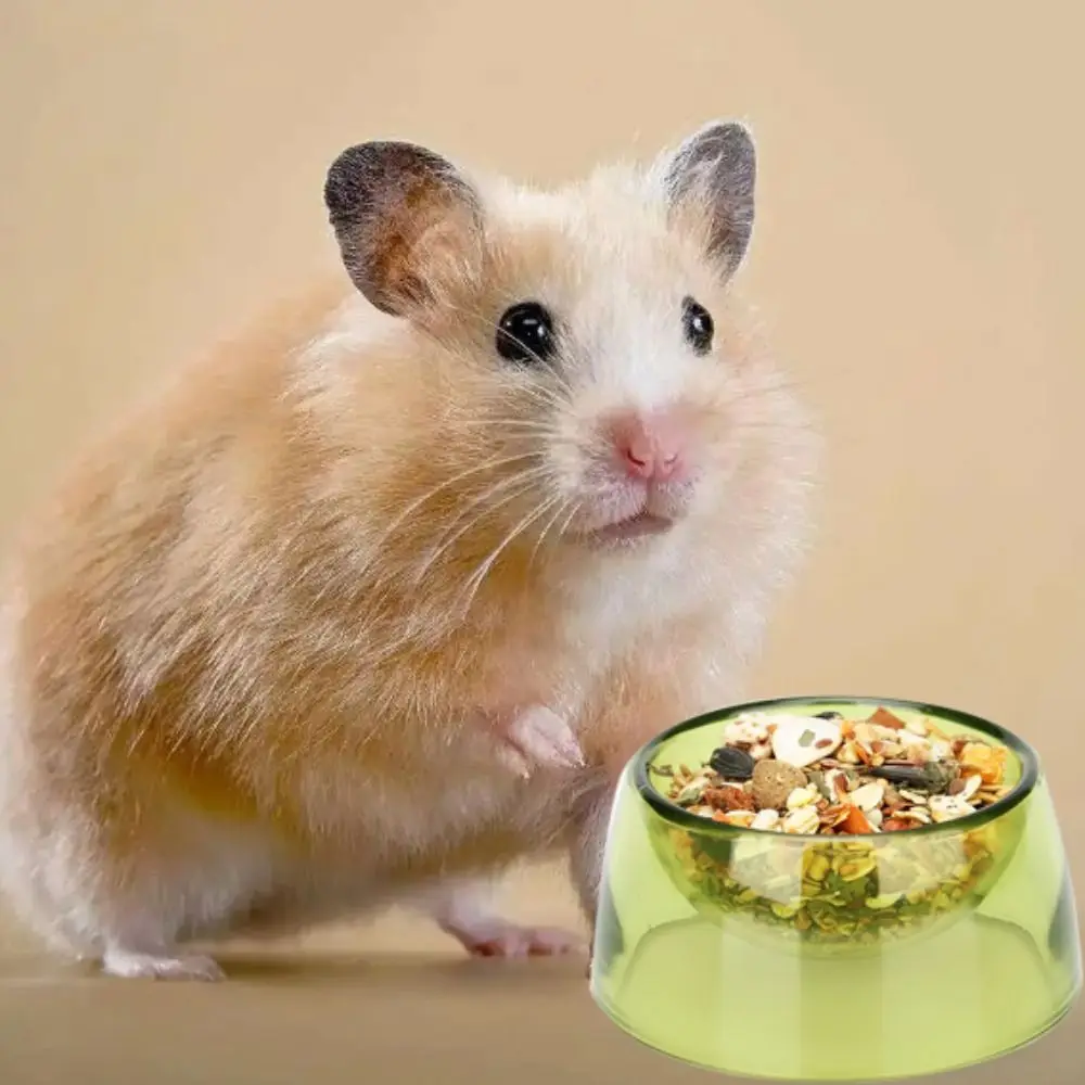 Hamster Plastic Food Basin Pet Bird Bowl Food Box Tableware Box Bowl Pet Supplies
