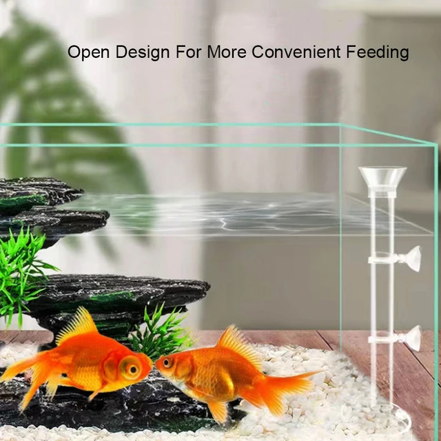 transparent fish tank feeder