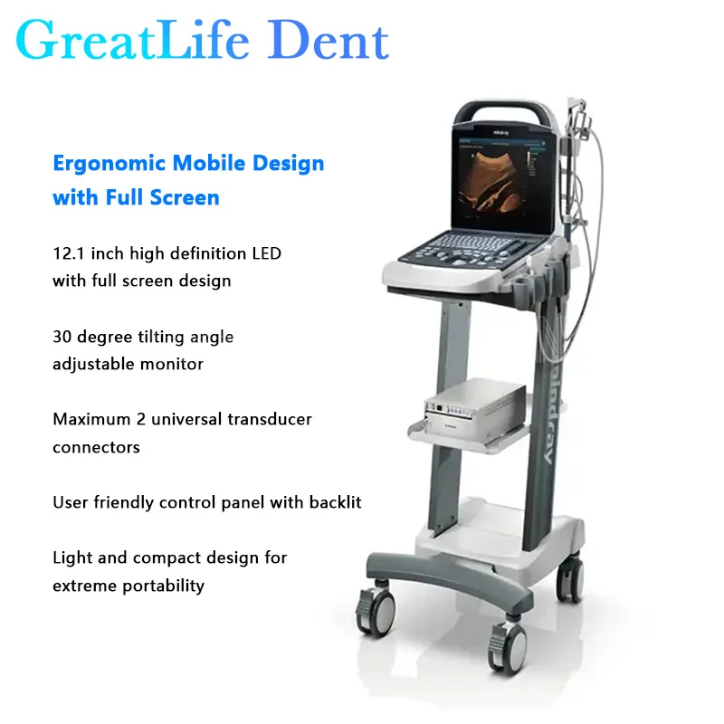 Рисунок 5 - GreatLife, портативное устройство