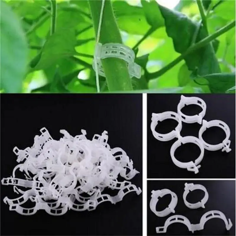 100PCS Fruit Clip Garden Plant Plastic Binding Vine Binding Branch Clip Support Tomato Fixing Plant Holder Trellis Clips