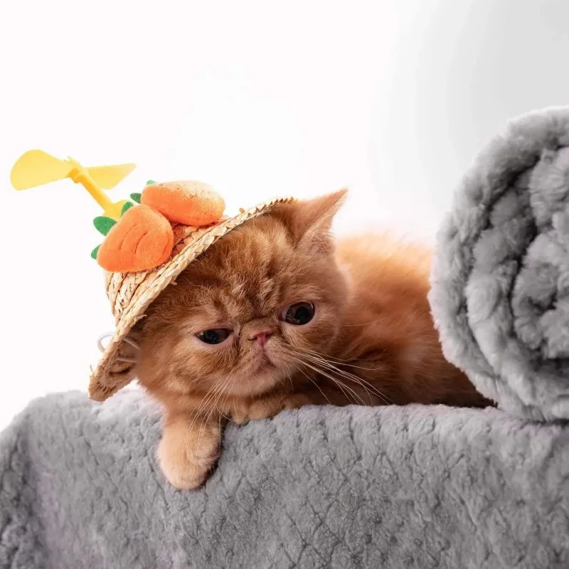 Cozy Fleece Pet Blanket - Ultra-Soft Plush Throw