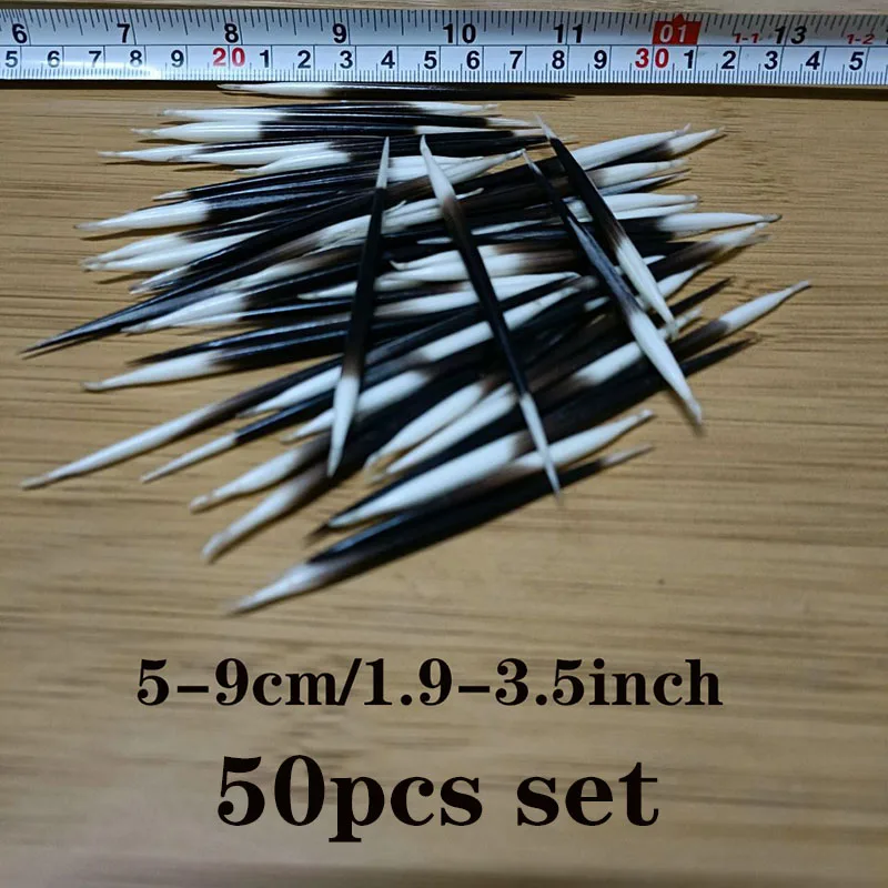 Porcupine Thorn High Quality Fish Float Hair Sticks Accessories Quills Real Porcupine Thorn White Black DIY Quill Buoy Handmade 