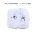 Spider web white