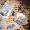 1PC Child Toy Simulated Resin Fossil Ornament Crawling Terrarium Decors Decorative Container Landscape Reptile 3