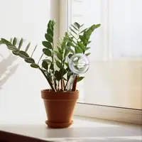2/3/4/6Pcs Automatic Plant Watering Bulbs Self Watering Glass Balls Watering Device Drip Irrigation System For Garden Flower 3