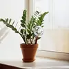 2/3/4/6Pcs Automatic Plant Watering Bulbs Self Watering Glass Balls Watering Device Drip Irrigation System For Garden Flower 3