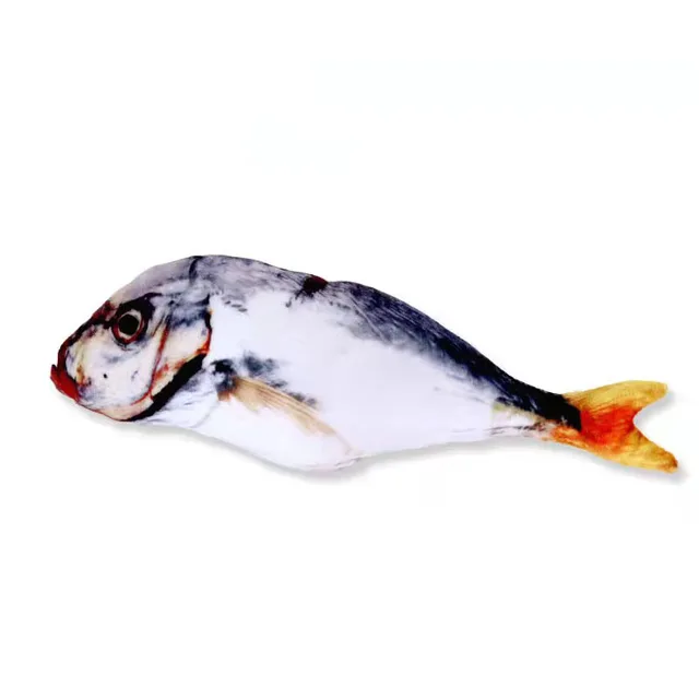 Image 20