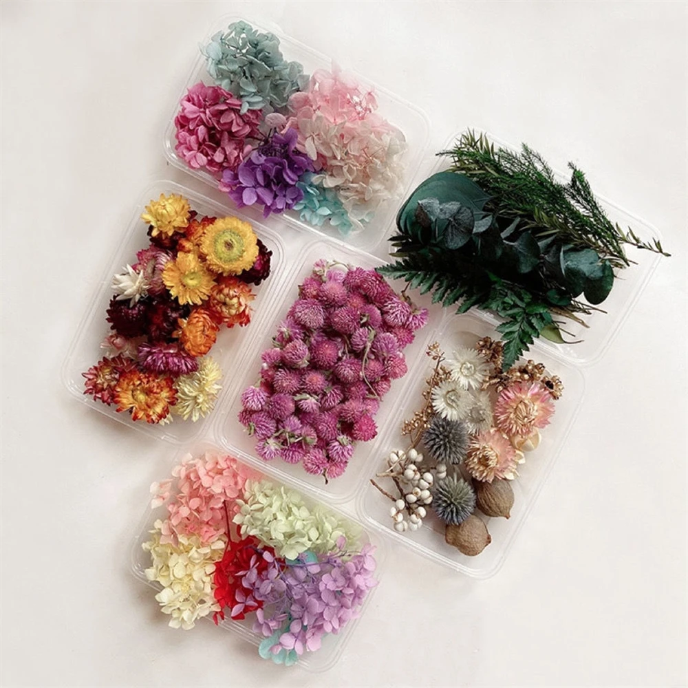 Real Dried Flowers DIY Craft Epoxy Resin Candle Making Jewelry Glas F8N5