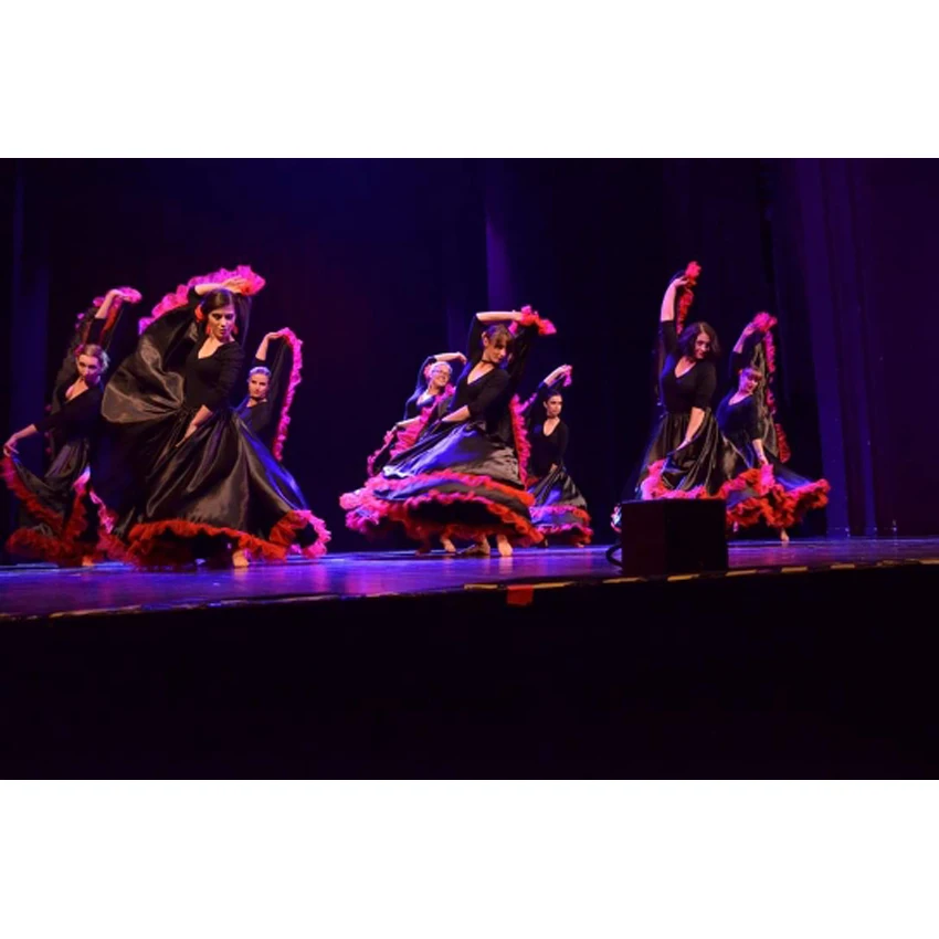 Woman Flamenco Skirt Spanish Traditional Costume